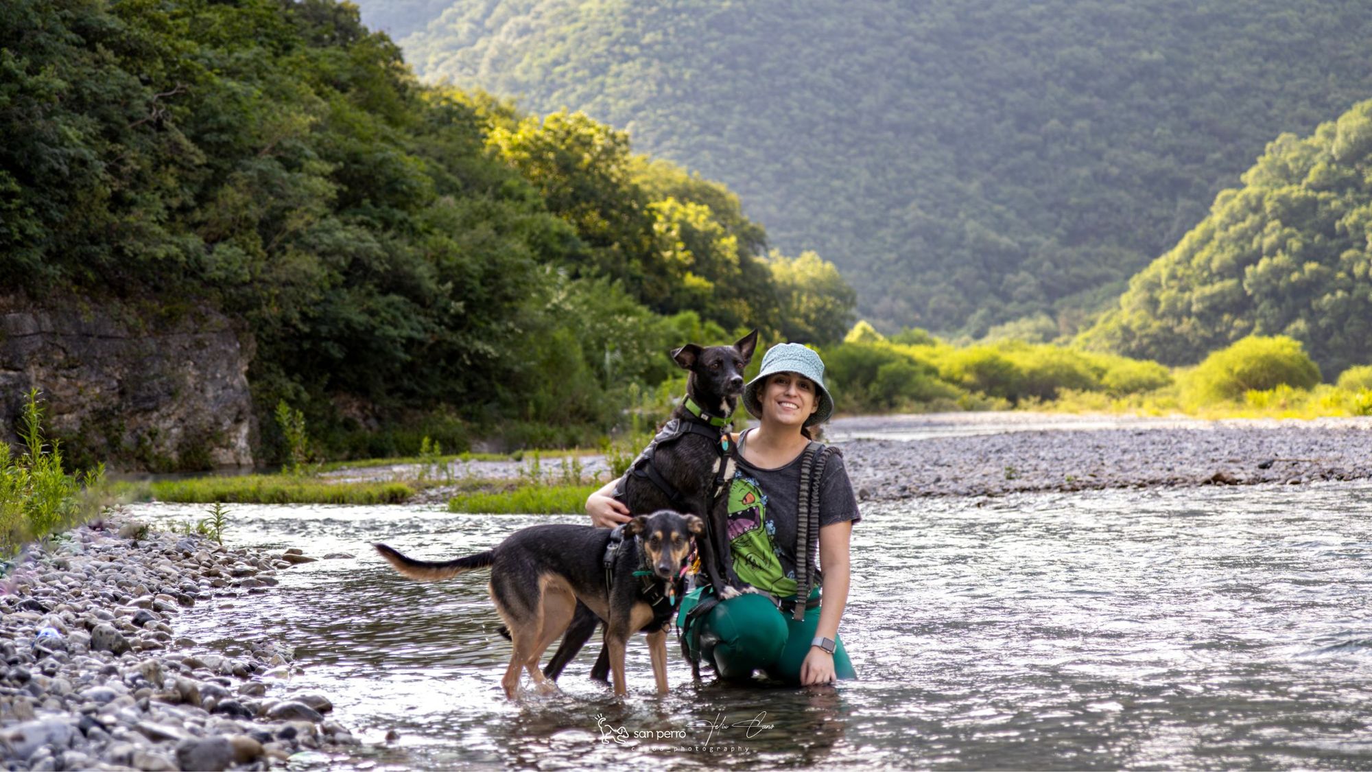 Día mundial del perro, un día para RECONOCER.